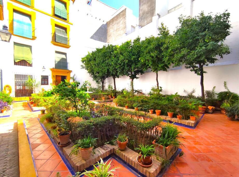 Plaza Cristo De Burgos Apartment Seville Ngoại thất bức ảnh